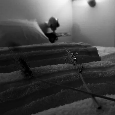 Nene' Lejlighed Fasano